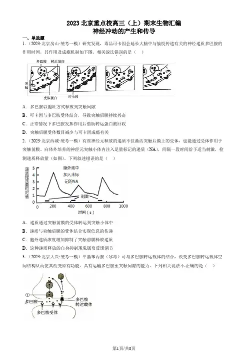 2023北京重点校高三(上)期末生物汇编：神经冲动的产生和传导
