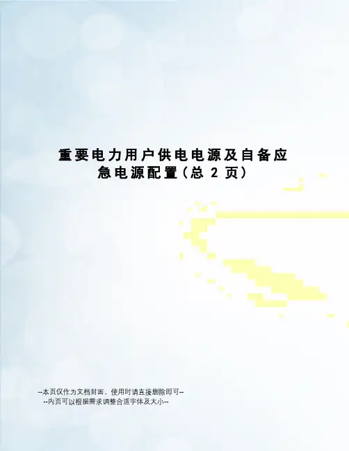 重要电力用户供电电源及自备应急电源配置