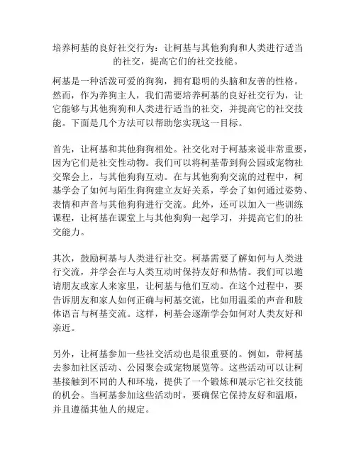 培养柯基的良好社交行为：让柯基与其他狗狗和人类进行适当的社交,提高它们的社交技能。