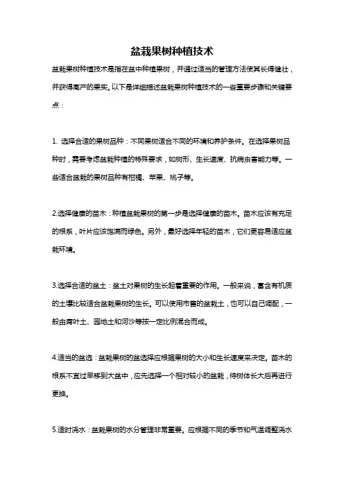 盆栽果树种植技术