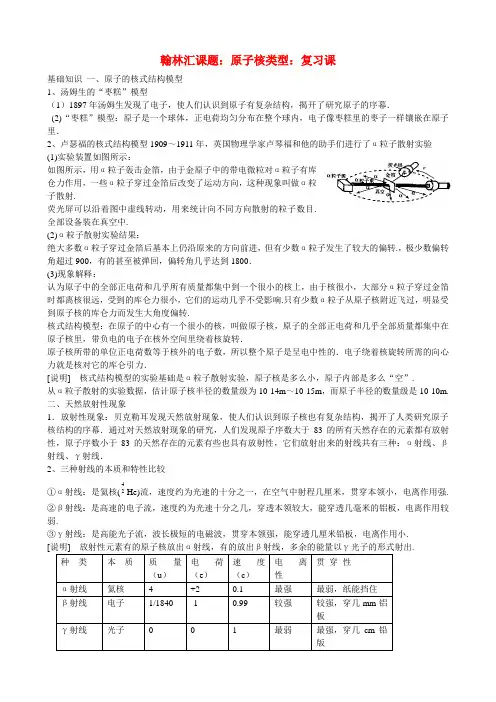 广东省罗岗高中物理复习原子核(教案)新人教版