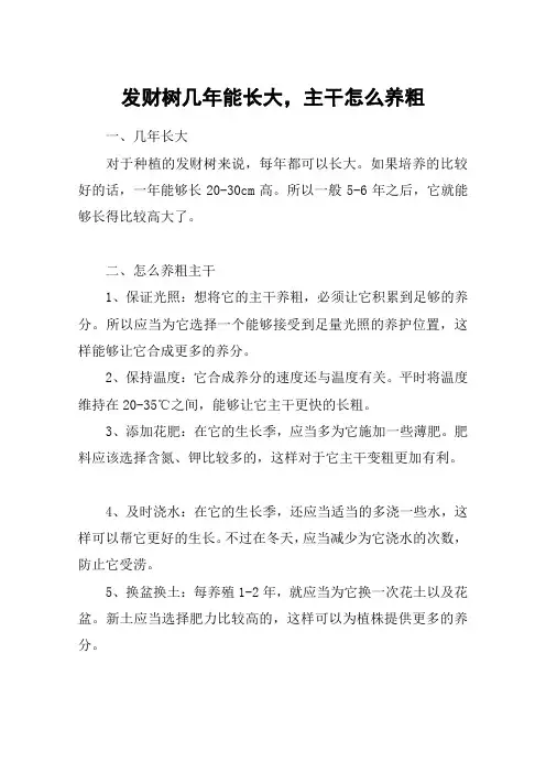 发财树几年能长大,主干怎么养粗