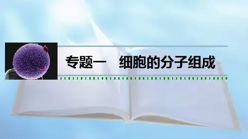 高考生物复习专题一 细胞的分子组成【精品】