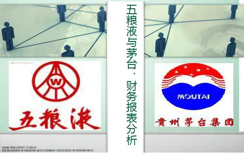 五粮液与茅台的财务报表分析