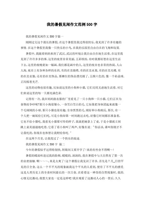 我的暑假见闻作文范例500字