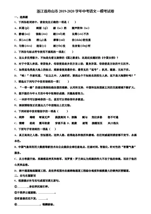 浙江省舟山市2019-2020学年中考语文一模考试卷含解析