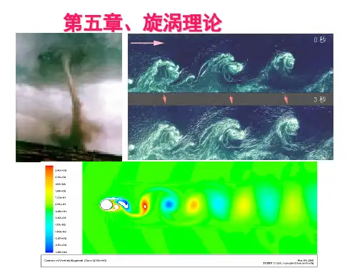 2010-第五章旋涡理论 流体力学