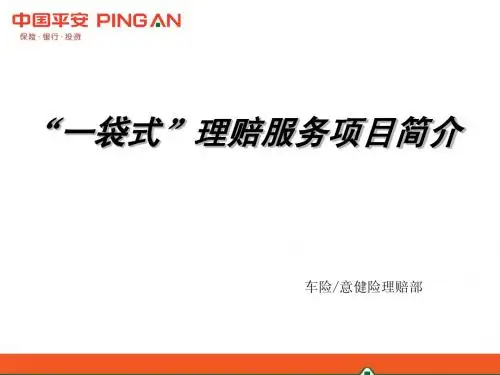 一袋式理赔服务项目简介