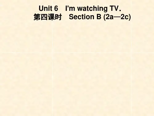 2019春人教版七年级英语下册图片版习题课件：Unit 6  第四课时 Section B (2a—2c)