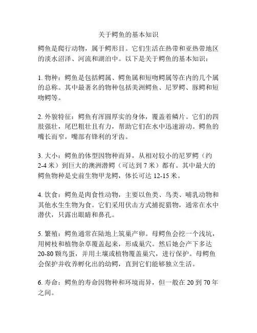关于鳄鱼的基本知识