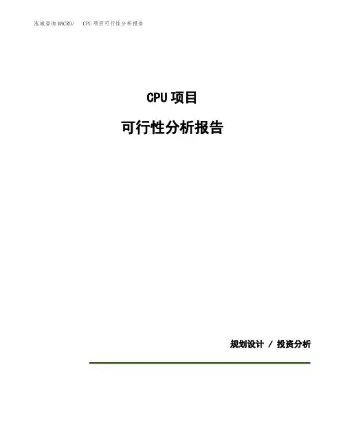CPU项目可行性分析报告(模板参考范文)