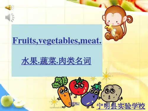 小学英语蔬菜水果肉类名词复习PPT课件