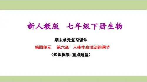 新人教版七年级下册初中生物 第六章 人体生命活动的调节 期末单元复习课件
