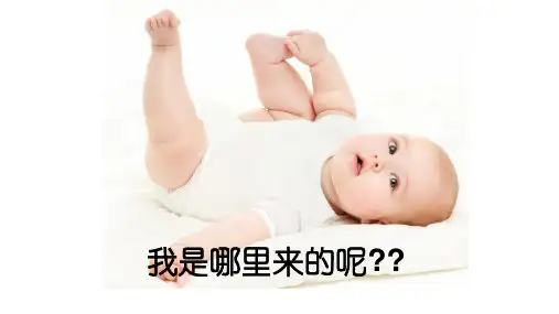 人教版高中生物必修一第六章第2节《细胞的分化》优秀课件(共30张PPT)