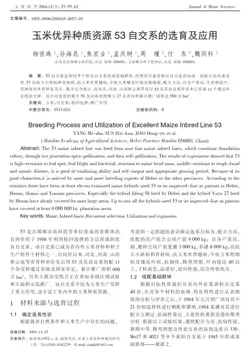 玉米优异种质资源53自交系的选育及应用