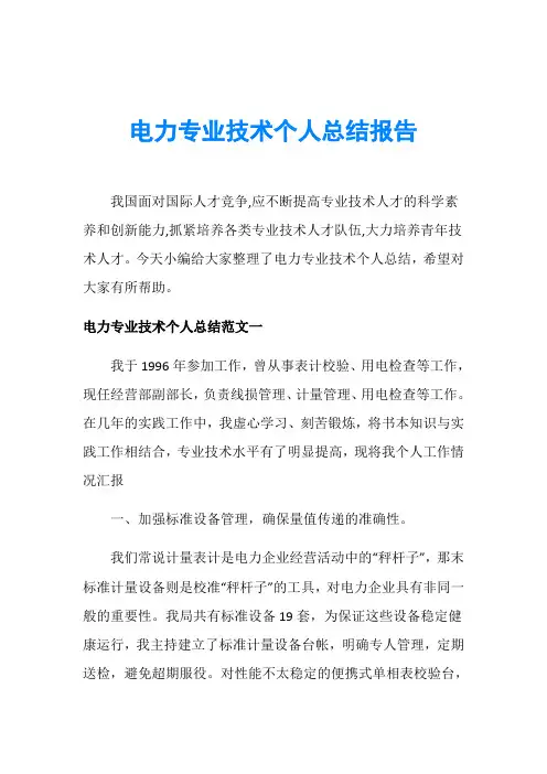 电力专业技术个人总结报告