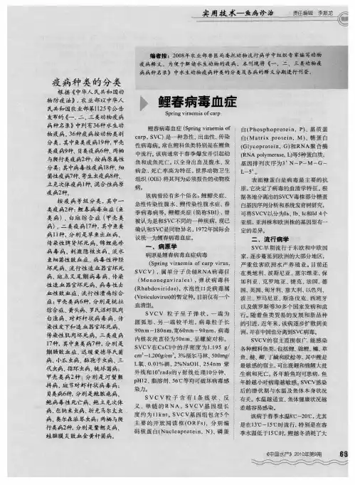 鲤春病毒血症
