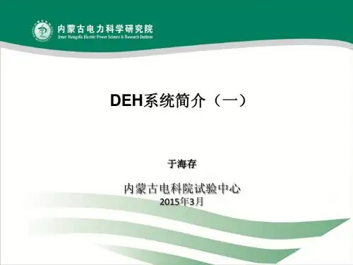 DEH系统简介