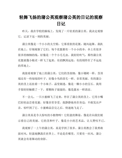 小学三年级作文轻舞飞扬的蒲公英观察蒲公英的日记的观察日记