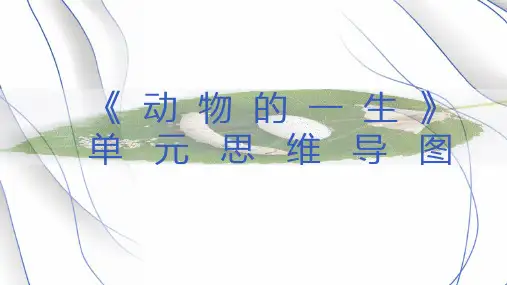 最新版本三年级下册科学精品课件《物体的运动》思维导图教科版8张