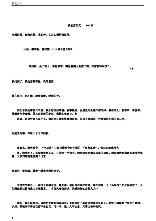 我的芳华作文800字(作文)
