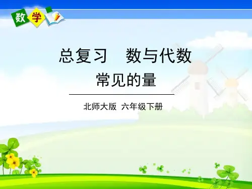 北师大版数学六年级下册《总复习 专题一 数与代数 第9课时 常见的量》教学课件