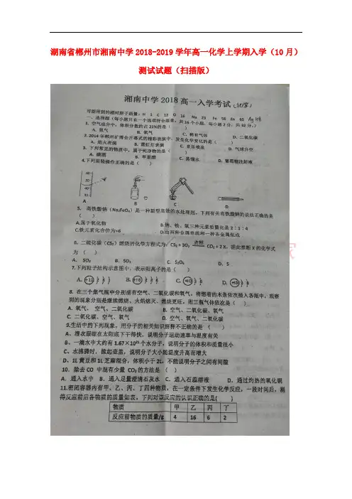 湖南省郴州市湘南中学2018-2019学年高一化学上学期入学(10月)测试试题(扫描版)