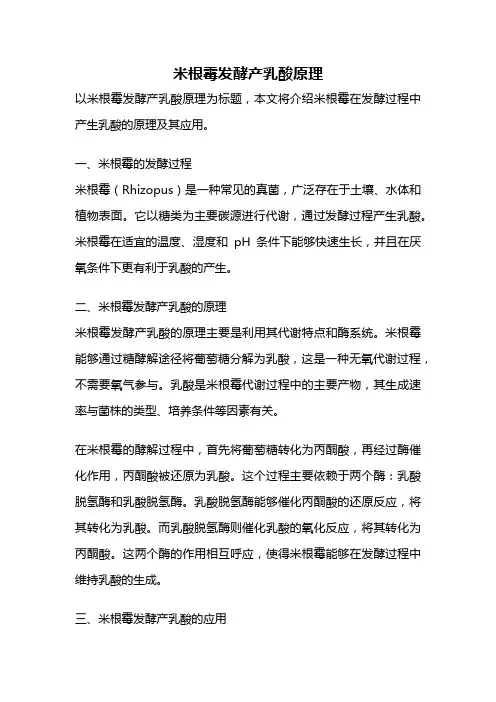 米根霉发酵产乳酸原理