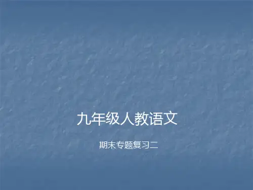 人教部编版九年级语文上册期末专题复习二 病句的辨析与修改