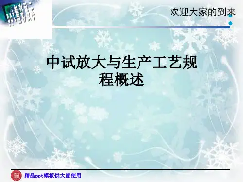 中试放大与生产工艺规程概述