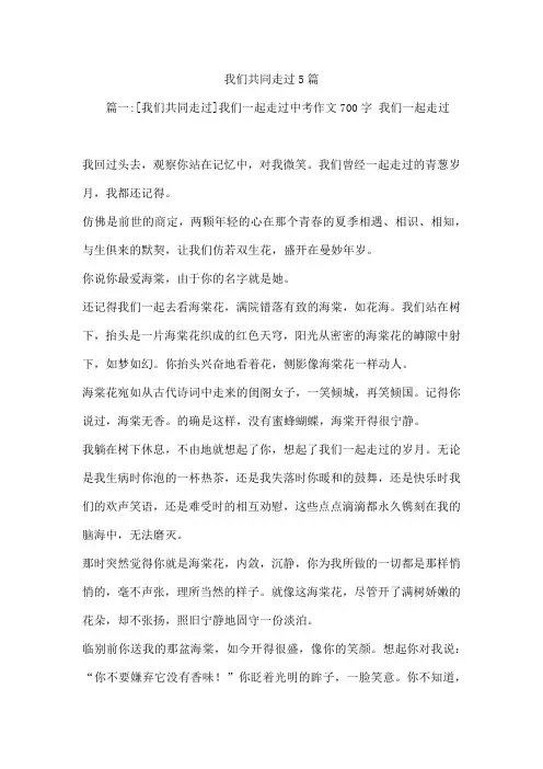我们共同走过5篇