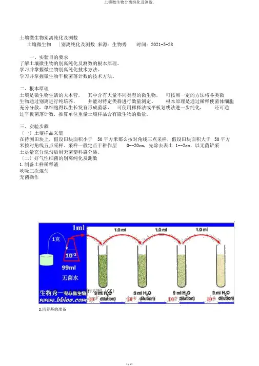 土壤微生物分离纯化及测数.