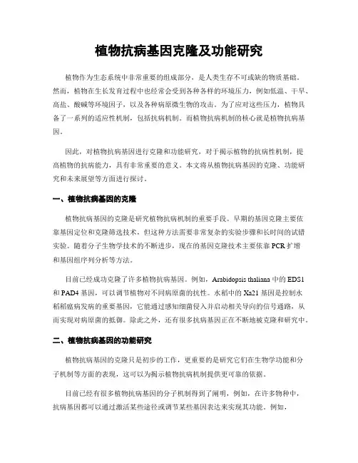 植物抗病基因克隆及功能研究