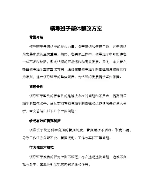 领导班子整体整改方案