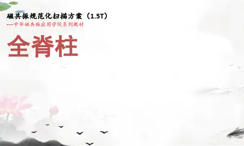 课件：全脊柱规范化扫描方案
