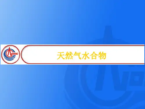 天然气水合物