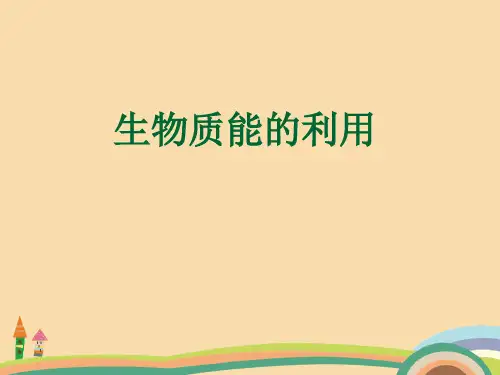 高一化学生物质能的利用PPT优秀课件