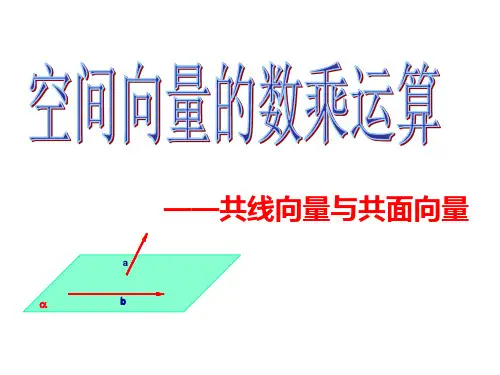 共线与共面向量
