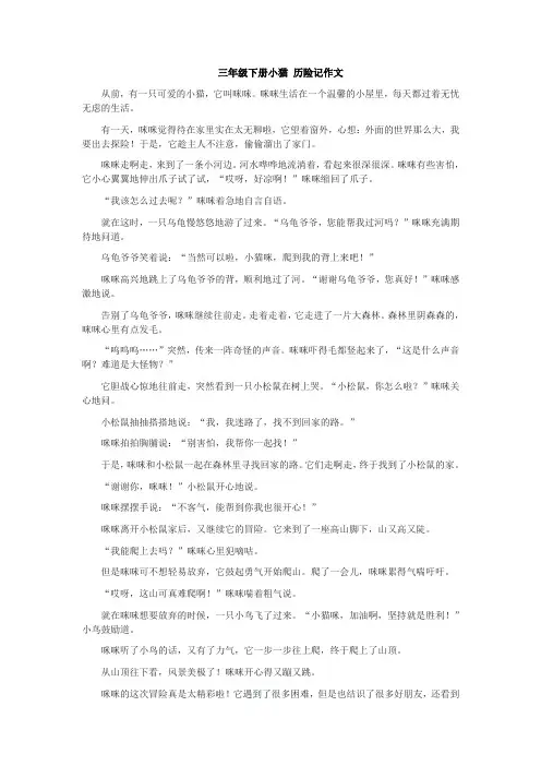 三年级下册小猫 历险记作文