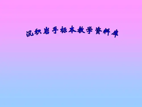 沉积岩识别(附图片)第一部分