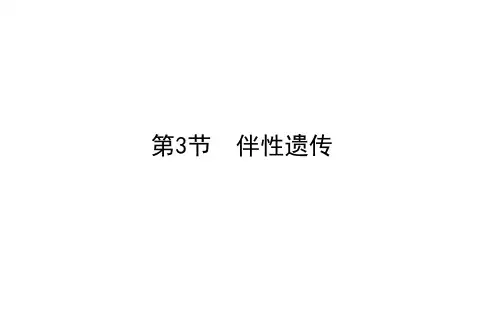 新教材2020-2021学年生物高中人教版(2019)必修2课件：2.第3节 伴性遗传