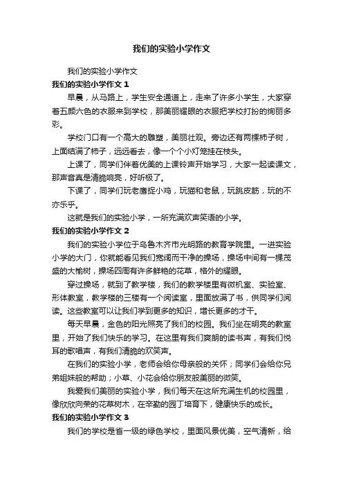 我们的实验小学作文