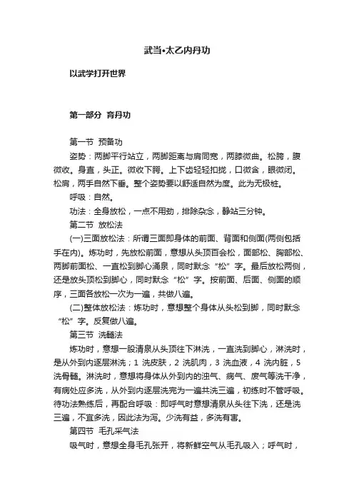 武当·太乙内丹功