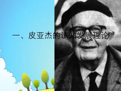 青少年认知发展基本理论