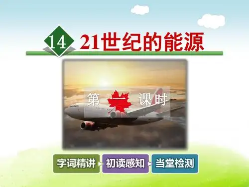 21世纪的能源PPT