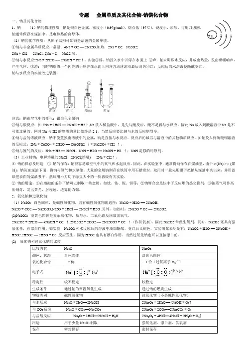高考化学复习专题：钠镁及其化合物