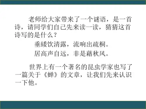 第21课《蝉》课件(共31张PPT) 2023—2024学年统编版语文八年级上册