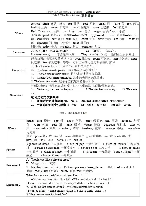 朗文新派少儿英语巩固级3B知识点