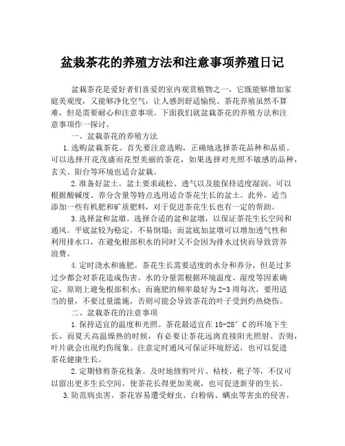 盆栽茶花的养殖方法和注意事项养殖日记