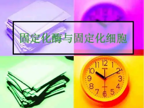固定化酶与固定化细胞